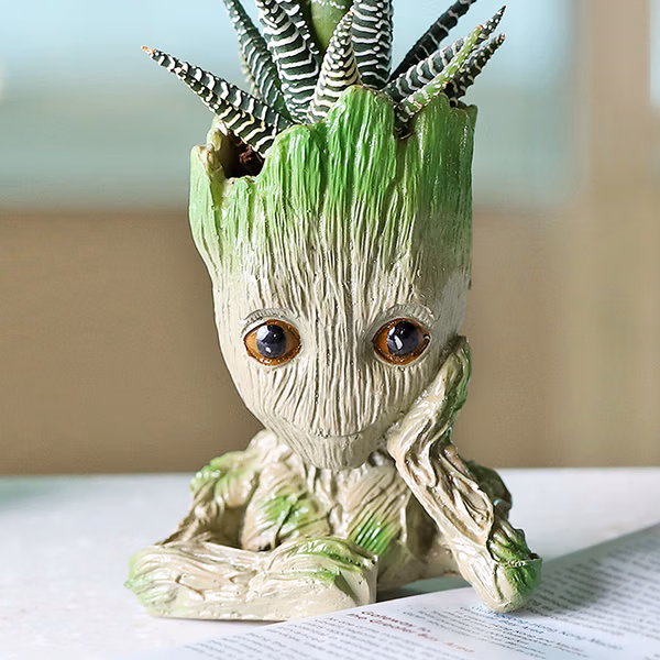 Haworthia Succulent In A Groot Planter