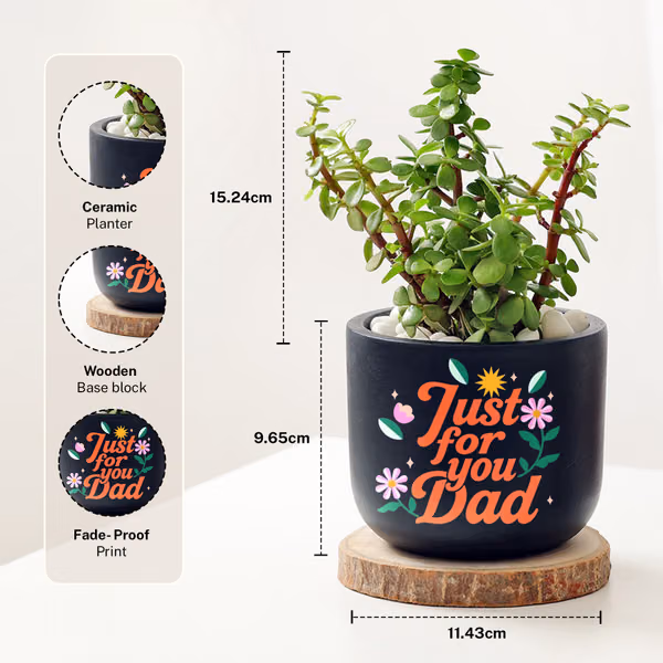 Jade Plant With Clay Planter For Dad